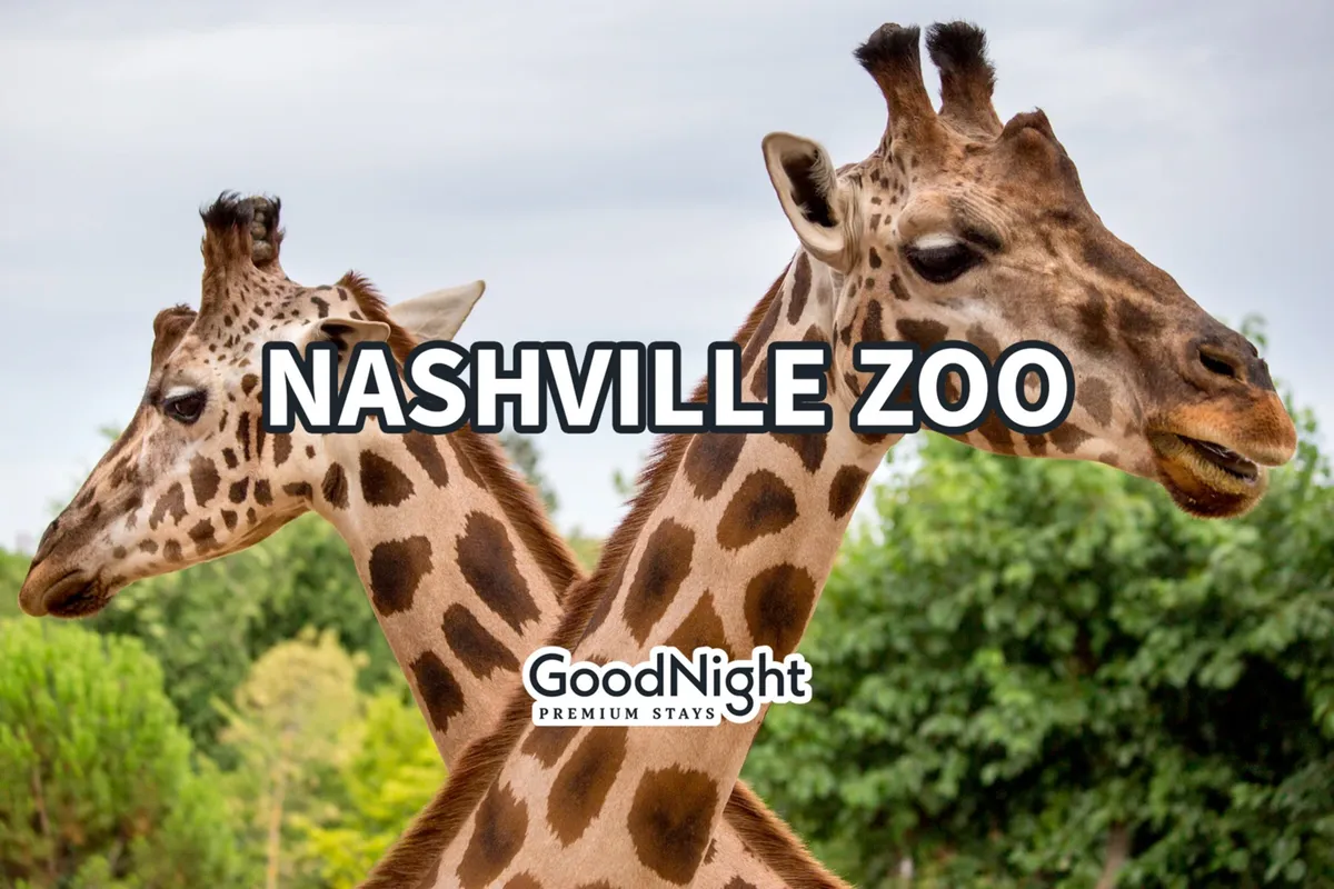 A vibrant exterior shot featuring giraffes amidst lush greenery at the Nashville Zoo. Families and children can be seen enjoying interactive animal encounters and exploring the immersive, naturalistic habitat.